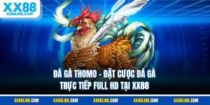 Casino XX88 – Địa Chỉ Cá Cược Online Được Giới Trẻ Yêu Thích Như Một Trải Nghiệm Mới Lạ và Hấp Dẫn